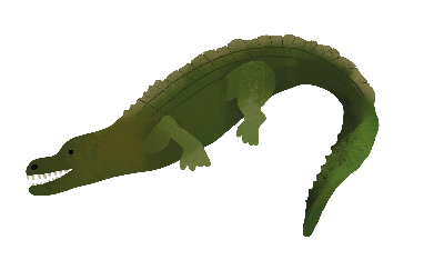 Florida Gator